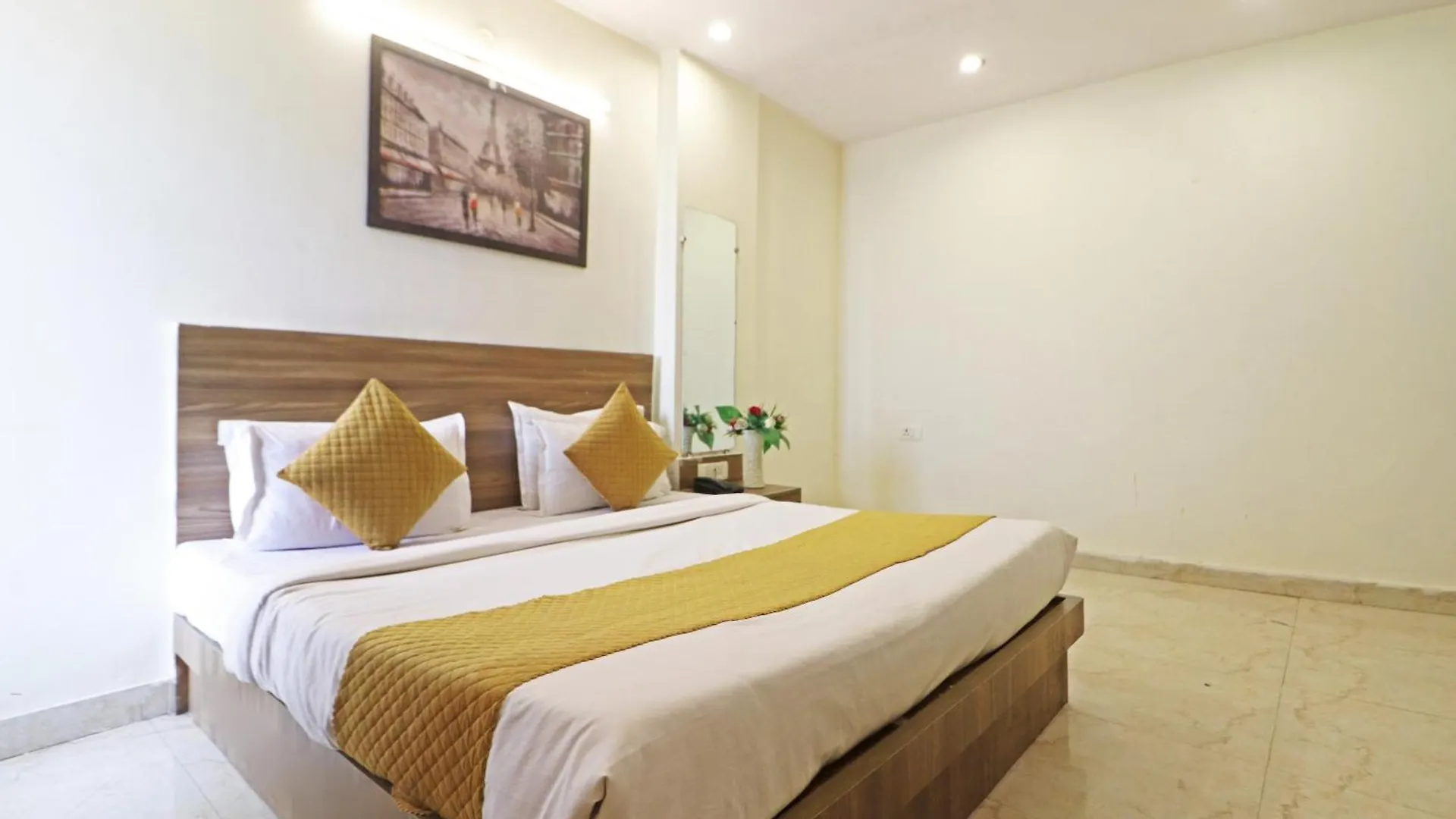 Hotel Aerostar Gold - Opposite Max Healthcare Delhi